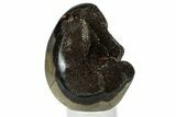 Septarian Dragon Egg Geode - Sparkly Black Crystals #329501-1